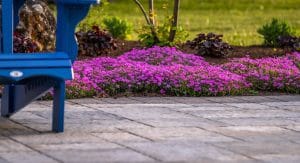 Creative Concept Landscapes Residential Landscaping Services