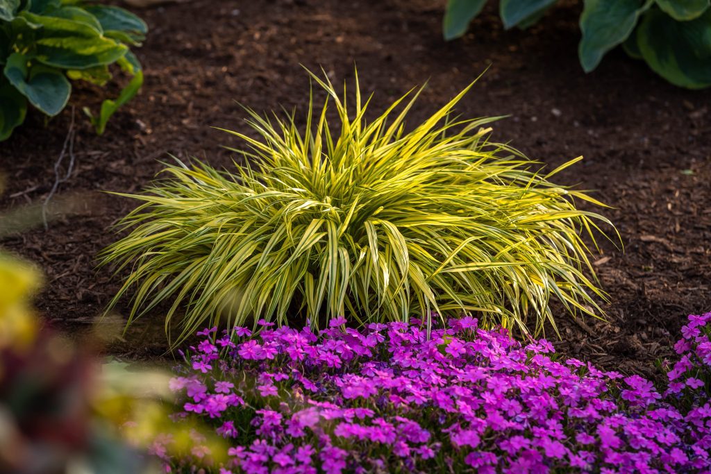 Creative Concept Landscapes Residential Landscaping Services
