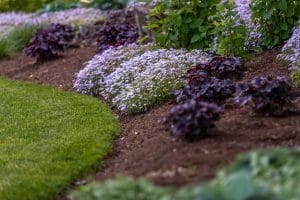 Creative Concept Landscapes Residential Landscaping Services