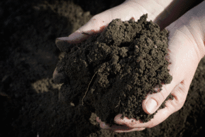 soil types in ontario